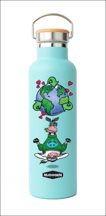 Stainless Steel Water Bottles
