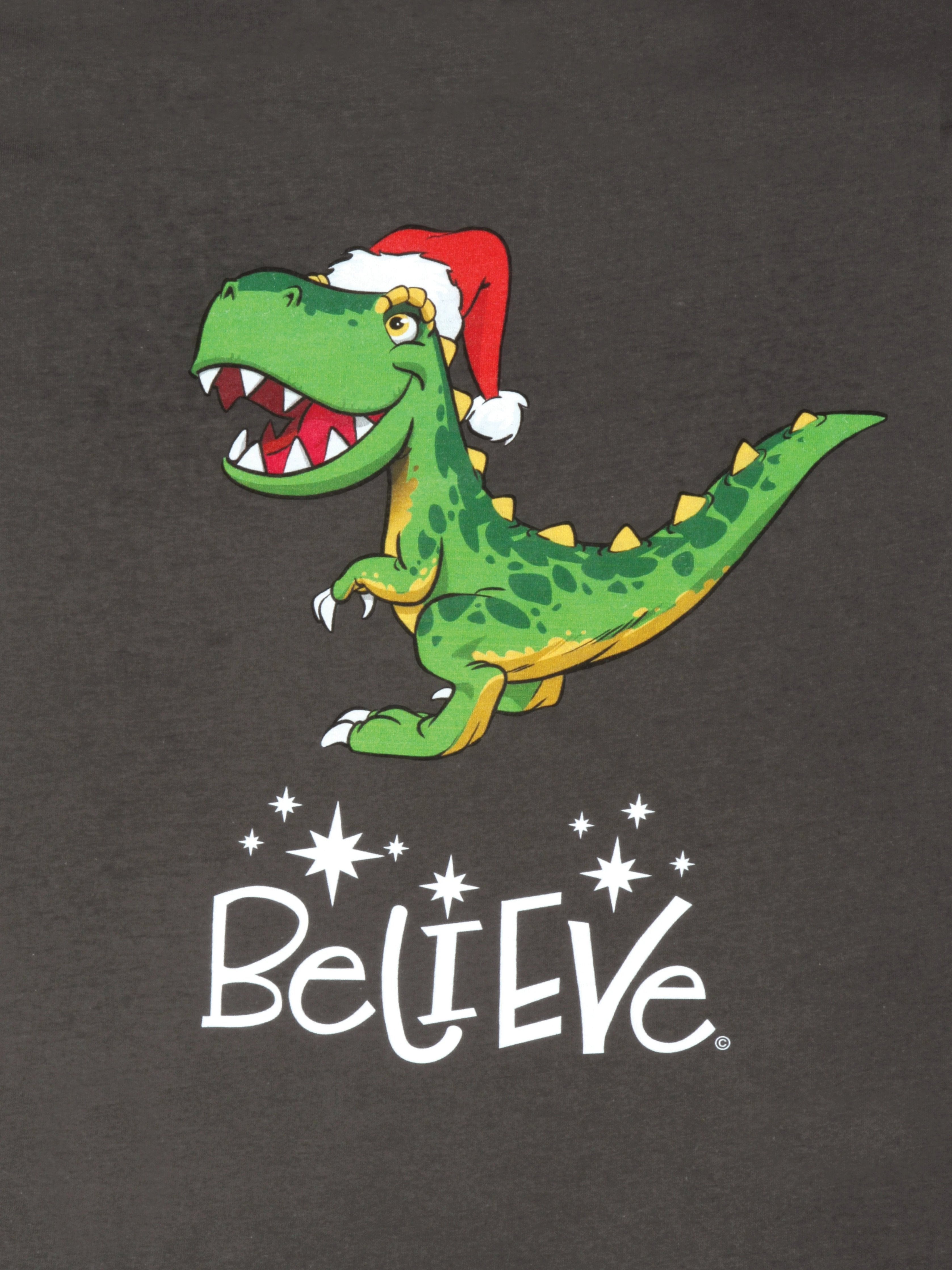 T-Rex_Believe_100%_Cotton_Adult_s_Holiday