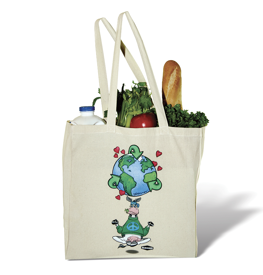 Reusable Canvas Tote Bag